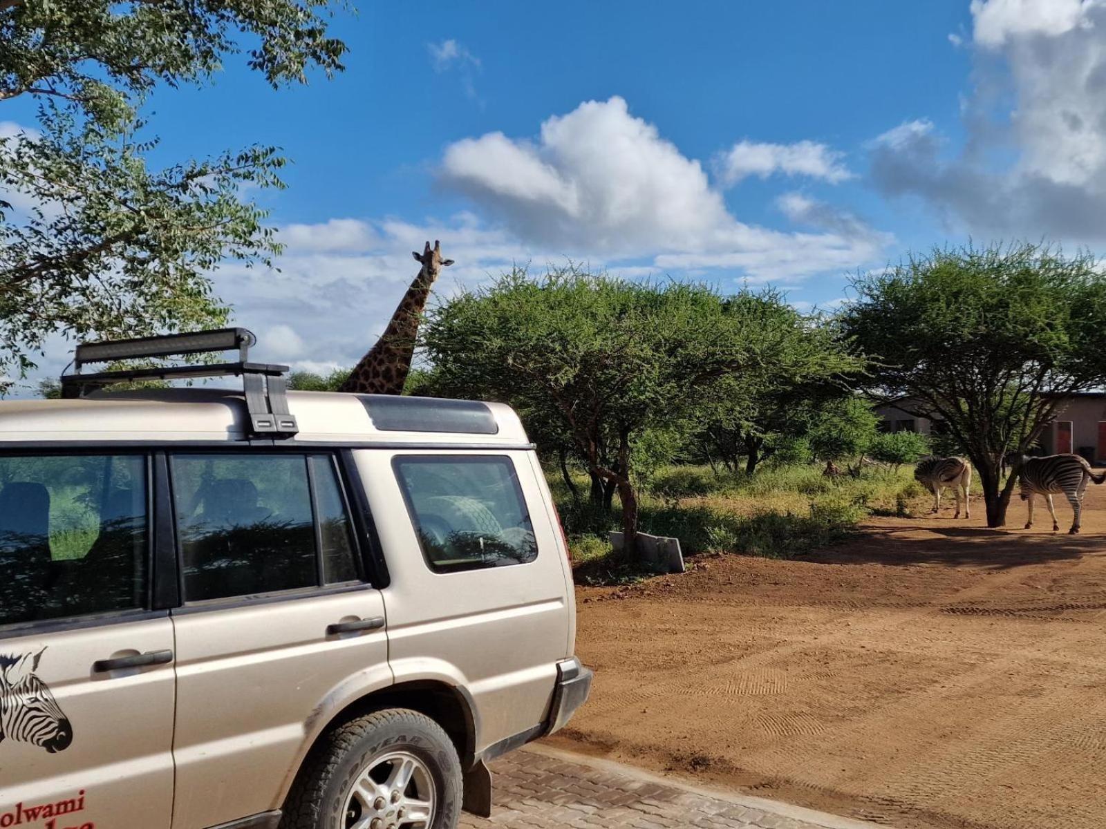 Thandolwami Bushlodge & Spa Hoedspruit Exterior foto